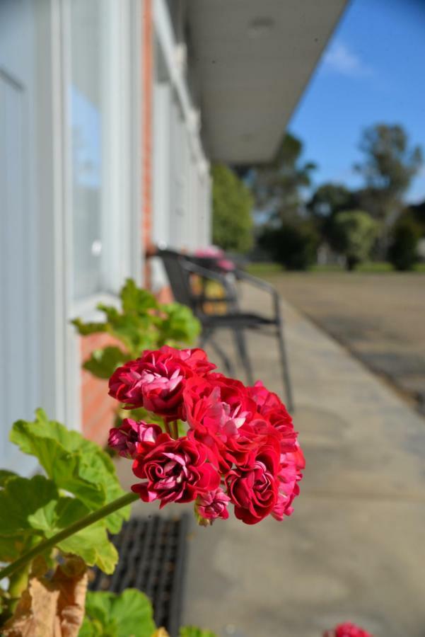 Ship Inn Motel Yarram Luaran gambar